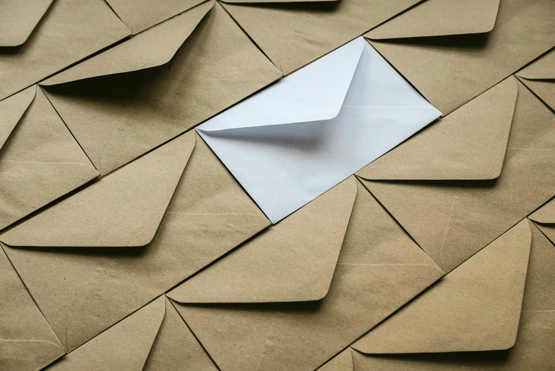 A white envelope among a brown craft envelopes in a row.